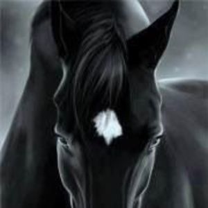 Meet your Posher, Vicente